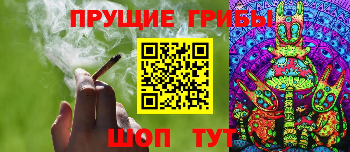 как найти закладки  Галлюциногенные грибы Cubensis  Вход с VPN  Будённовск 